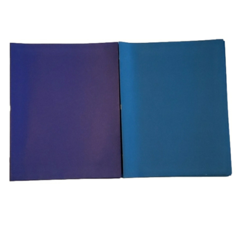 𝅺STAPLES two pocket folders